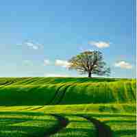 python 在‍线​教﻿程﻿